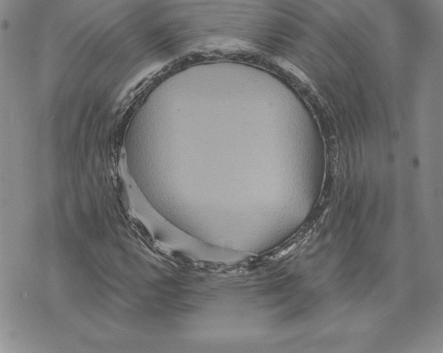 X0000075831112200610151513