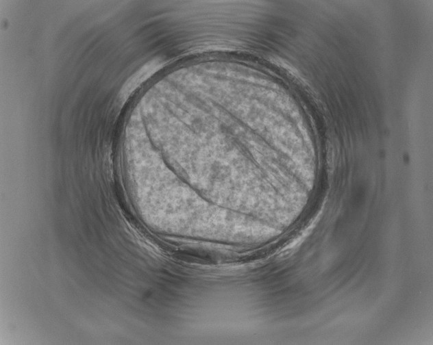 X0000075831113200610151513