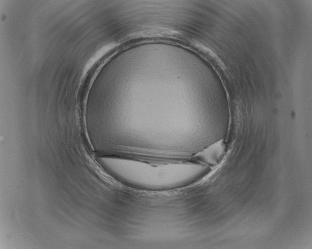 X0000075831114200610151513