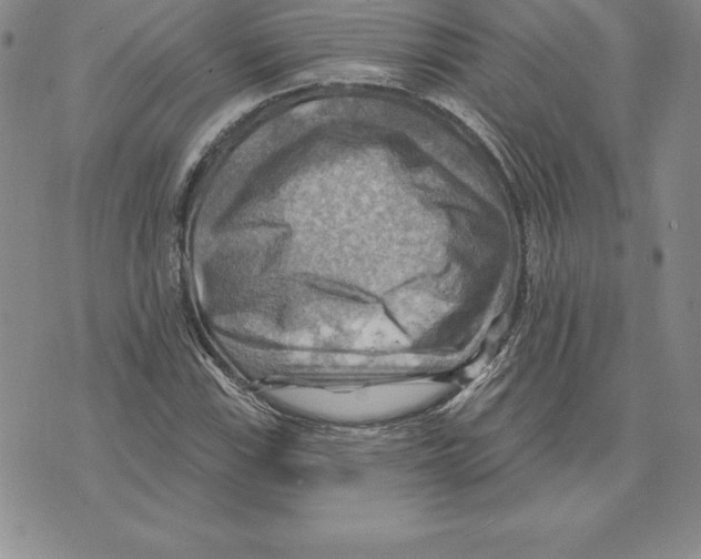 X0000075831115200610151513