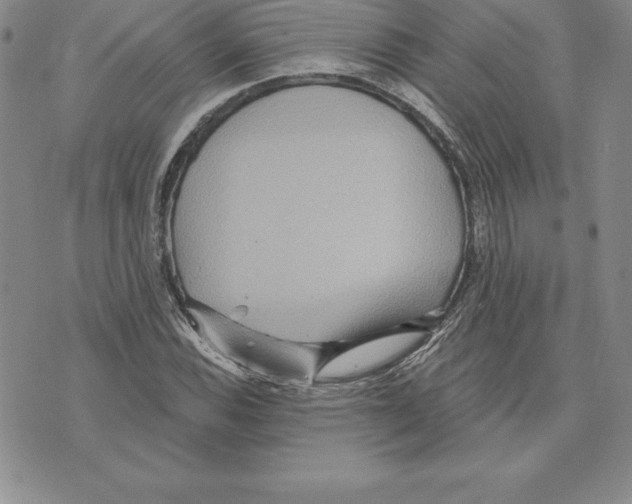 X0000075831116200610151513