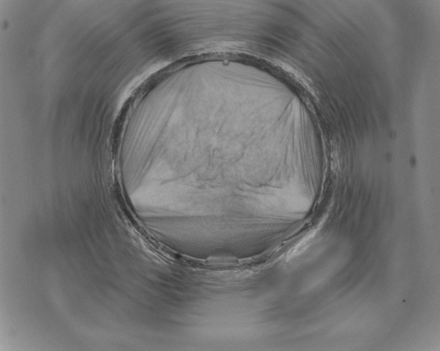 X0000075831117200610151513