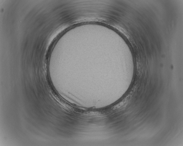 X0000075831119200610151513