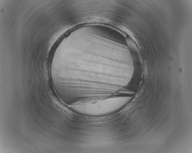 X0000075831120200610151513