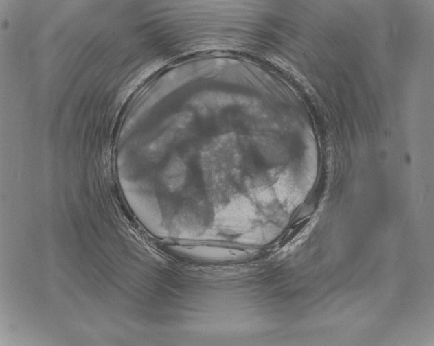 X0000075831121200610151513