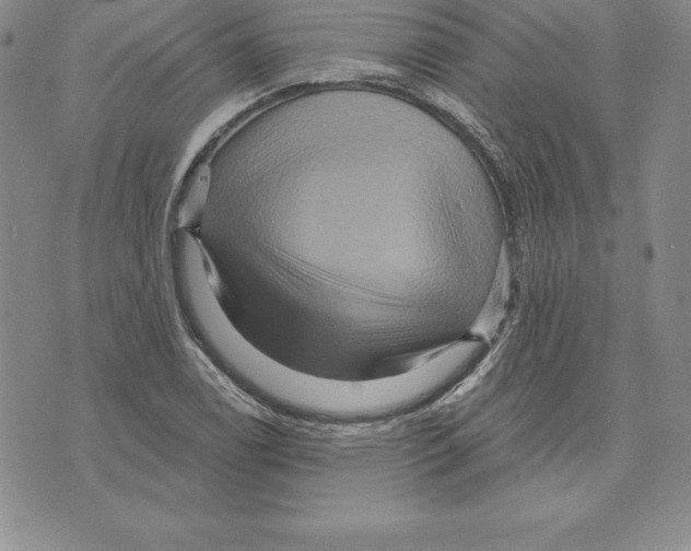 X0000075831122200610151513