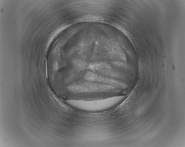 X0000075831123200610151513