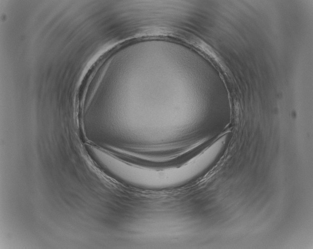 X0000075831124200610151513