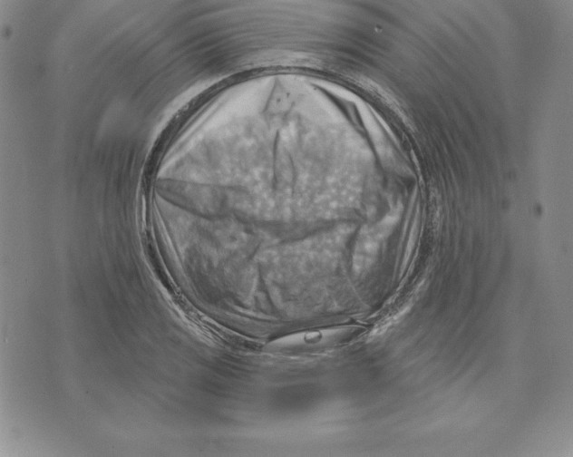 X0000075831125200610151513