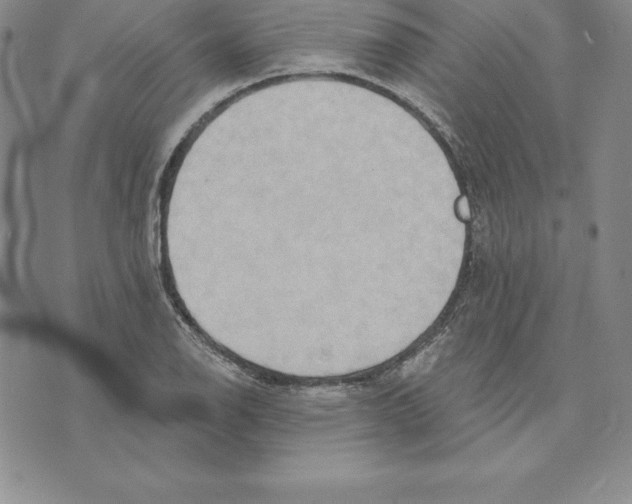 X0000075831126200610151513