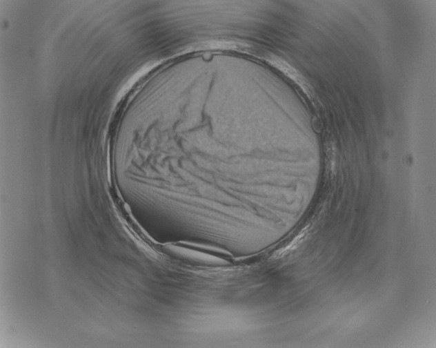 X0000075831127200610151513