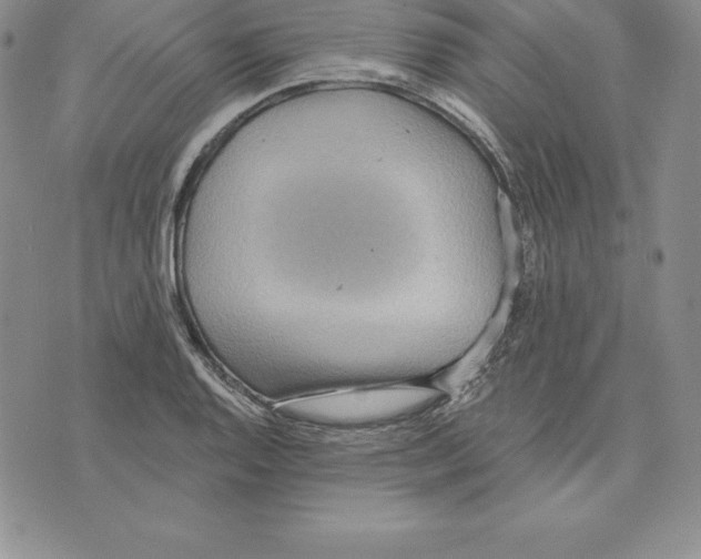 X0000075831128200610151513