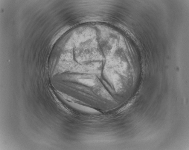 X0000075831129200610151513