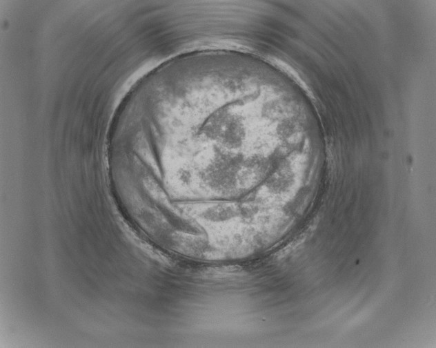 X0000075831133200610151513