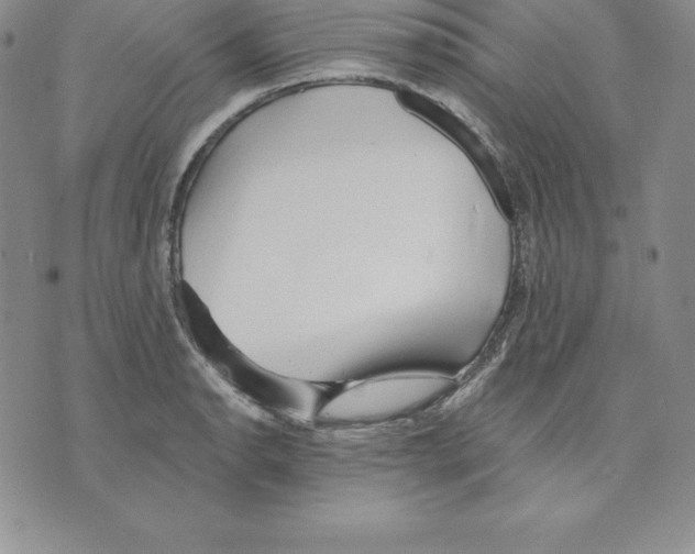 X0000075831134200610151513