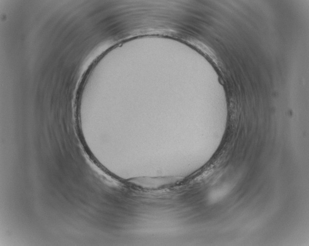 X0000075831135200610151513