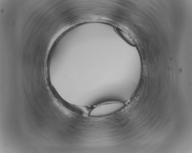 X0000075831136200610151513