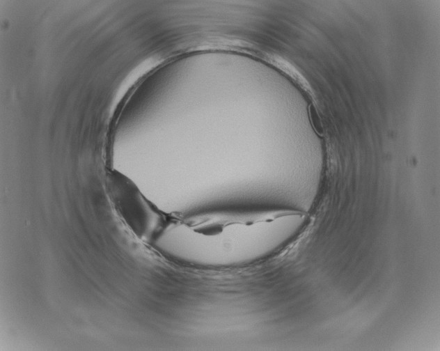 X0000075831138200610151513