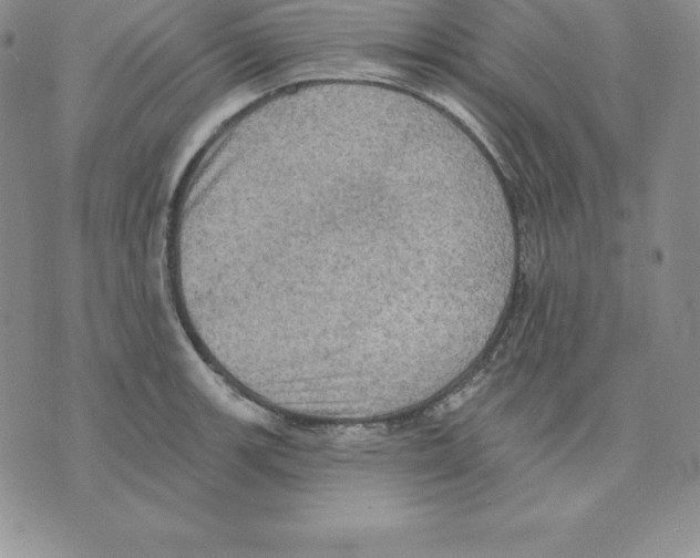 X0000075831139200610151513