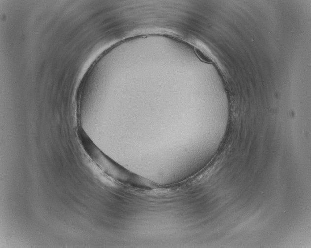 X0000075831140200610151513