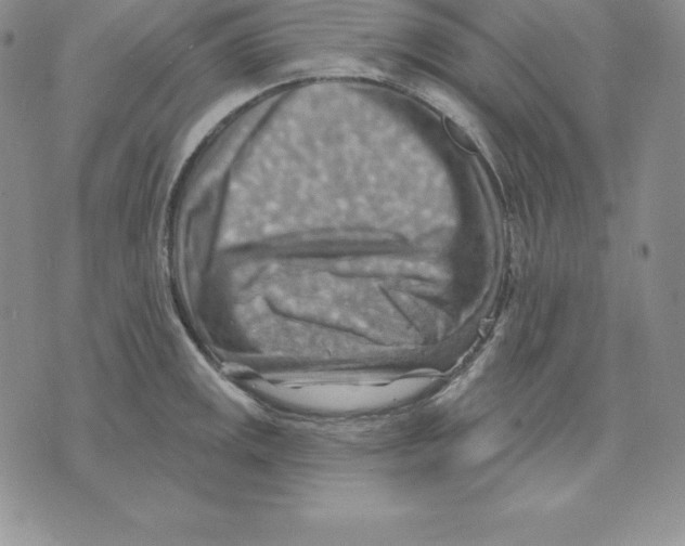 X0000075831141200610151513