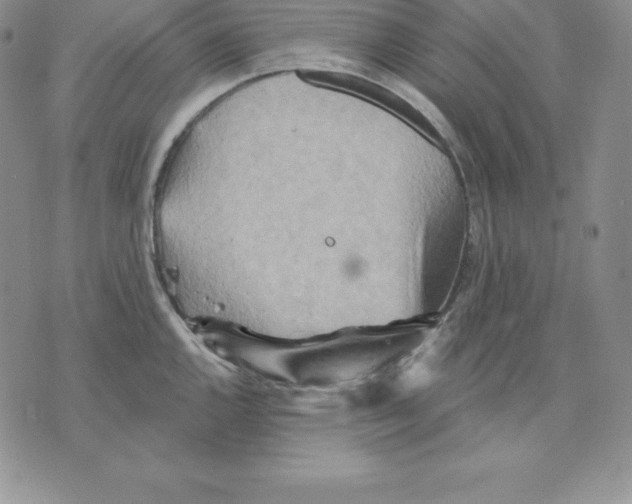 X0000075831144200610151513