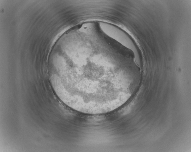 X0000075831145200610151513