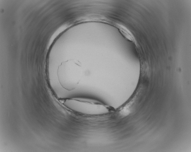 X0000075831146200610151513