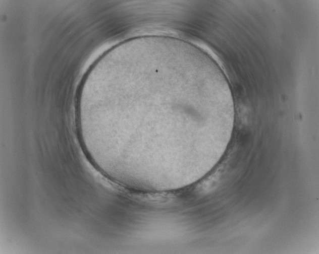 X0000075831147200610151513