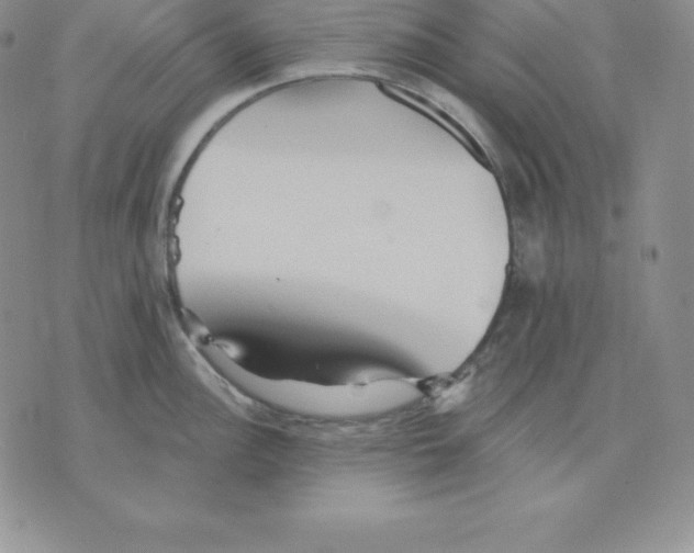 X0000075831148200610151513