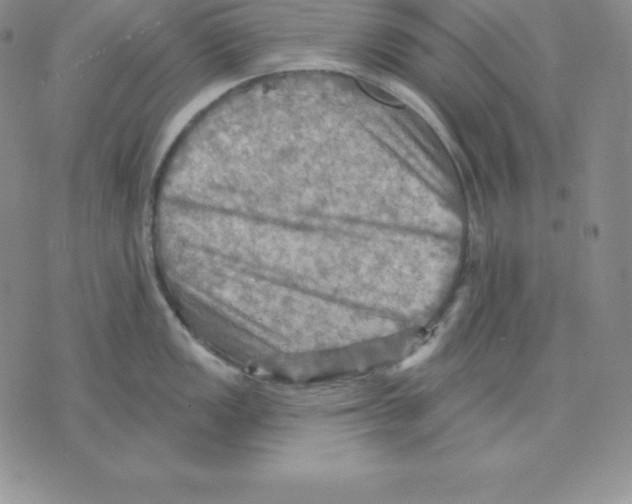 X0000075831149200610151513