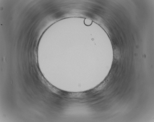 X0000075831150200610151513