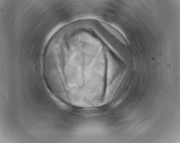 X0000075831151200610151513