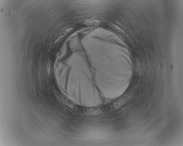 X0000075831154200610151513