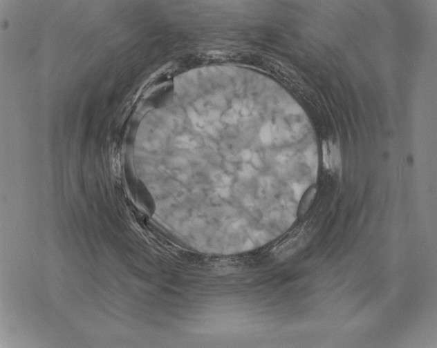 X0000075831155200610151513