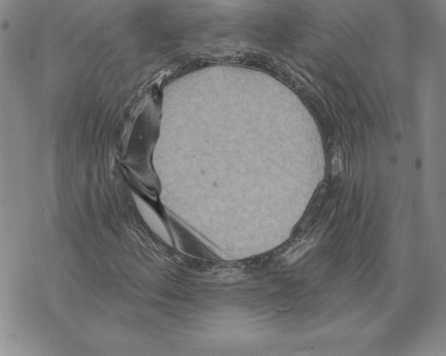 X0000075831156200610151513