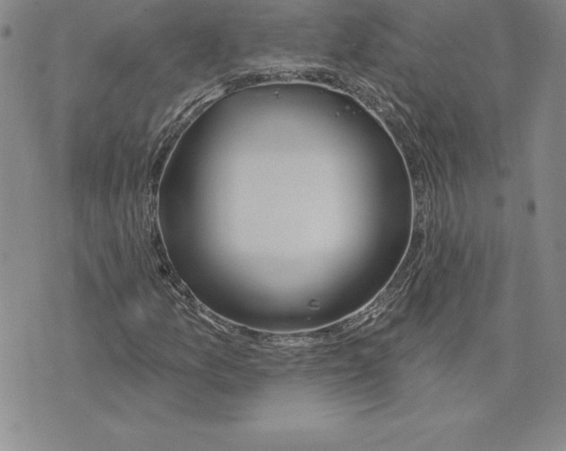 X0000075831157200610151513