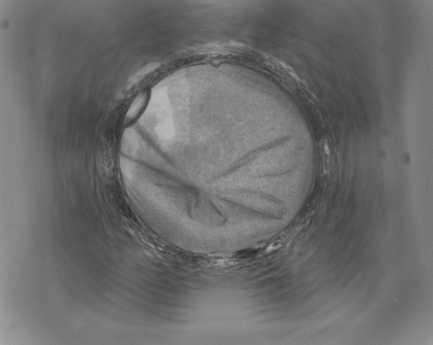 X0000075831158200610151513