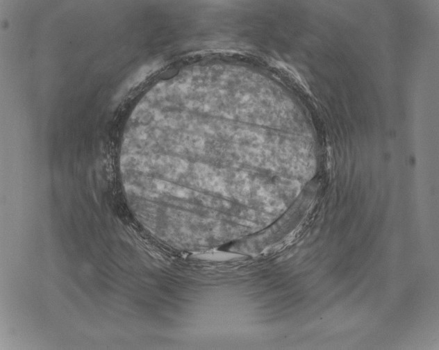 X0000075831159200610151513