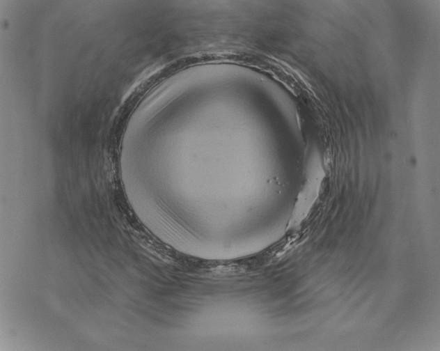 X0000075831160200610151513