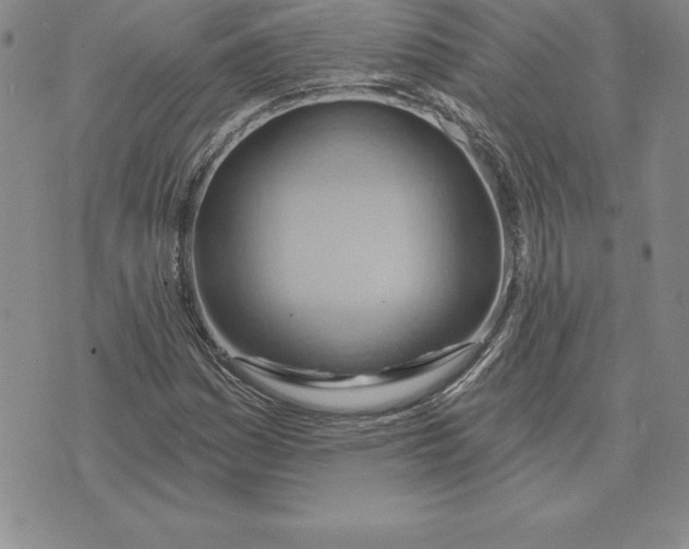 X0000075831161200610151513