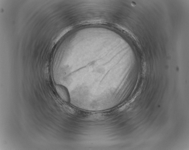 X0000075831162200610151513