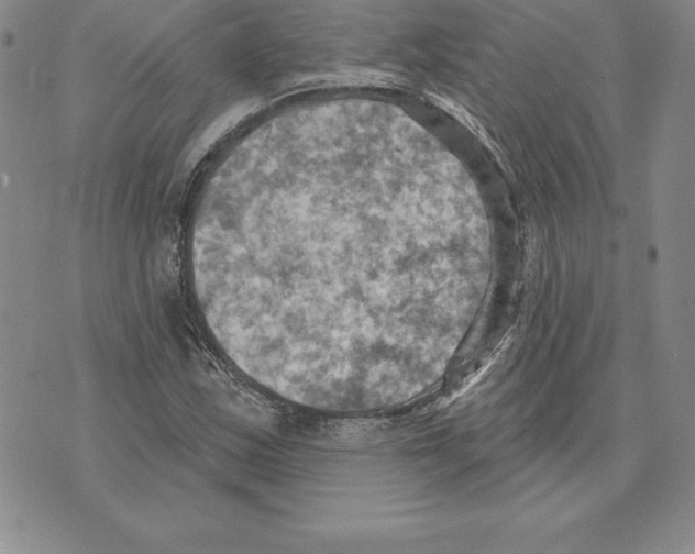 X0000075831163200610151513