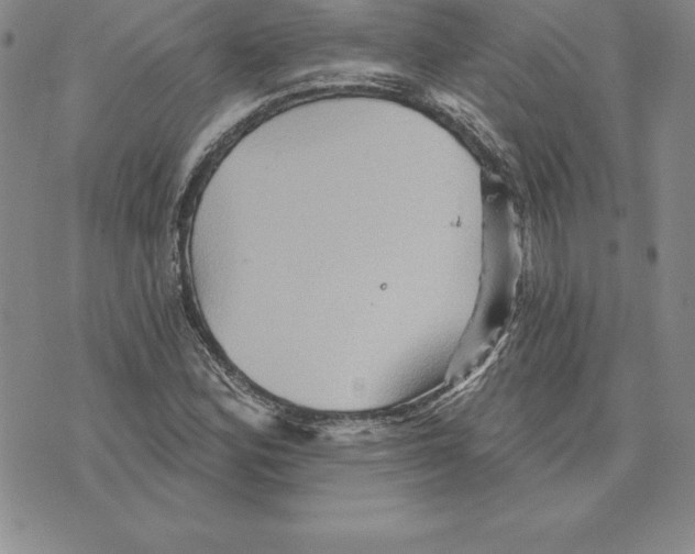 X0000075831164200610151513