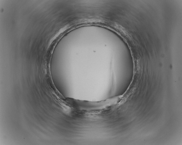 X0000075831165200610151512