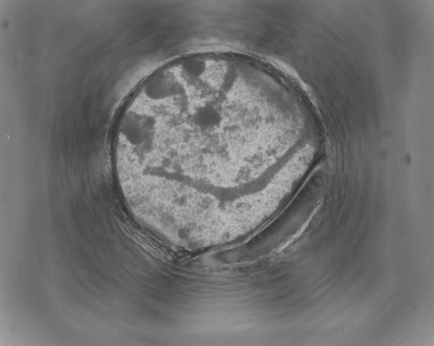 X0000075831167200610151512