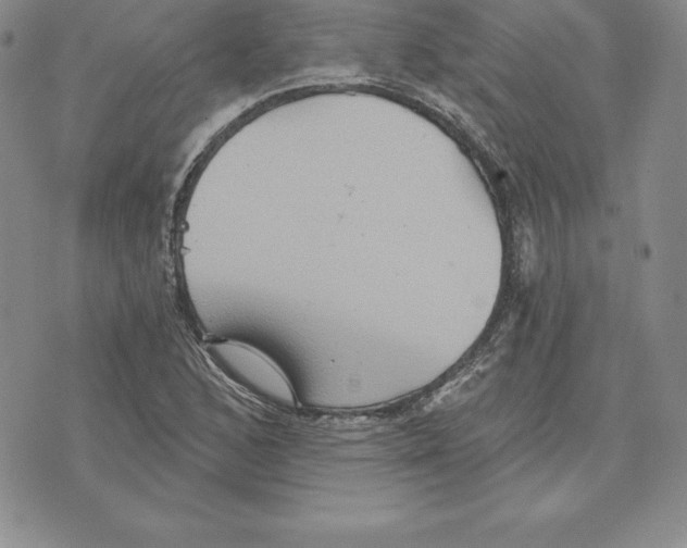 X0000075831168200610151512