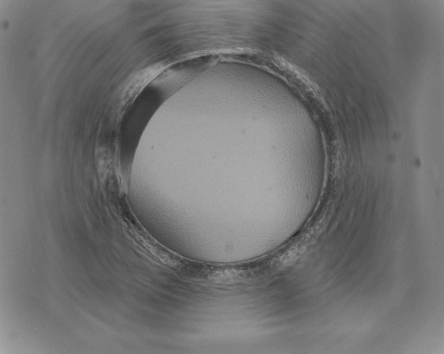 X0000075831169200610151512