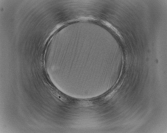 X0000075831170200610151512