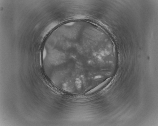 X0000075831171200610151512